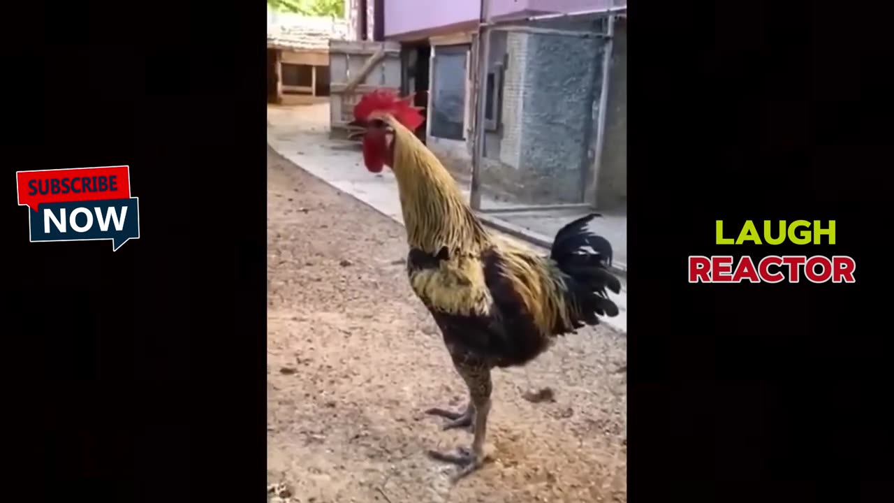 TRY NOT TO LAUGH | UNCONTROLLABLE EDITION 🤣😂