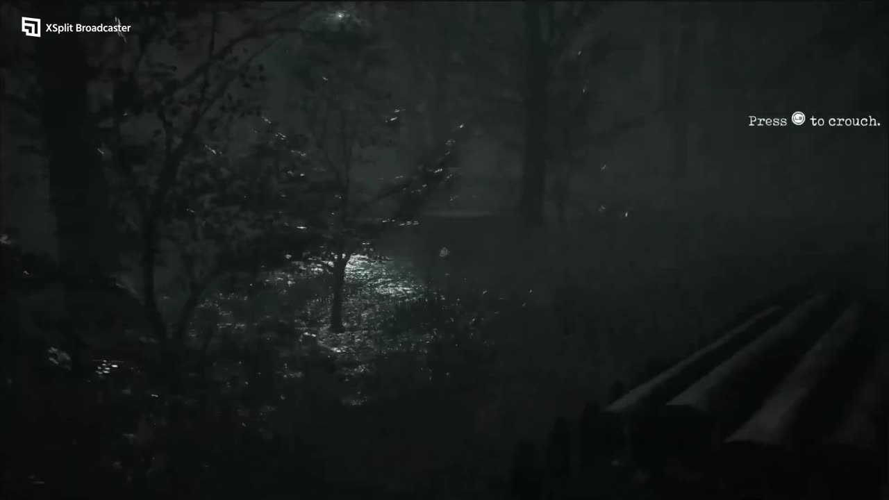 GREYHILL INCIDENT (SONG EVIL EYES)