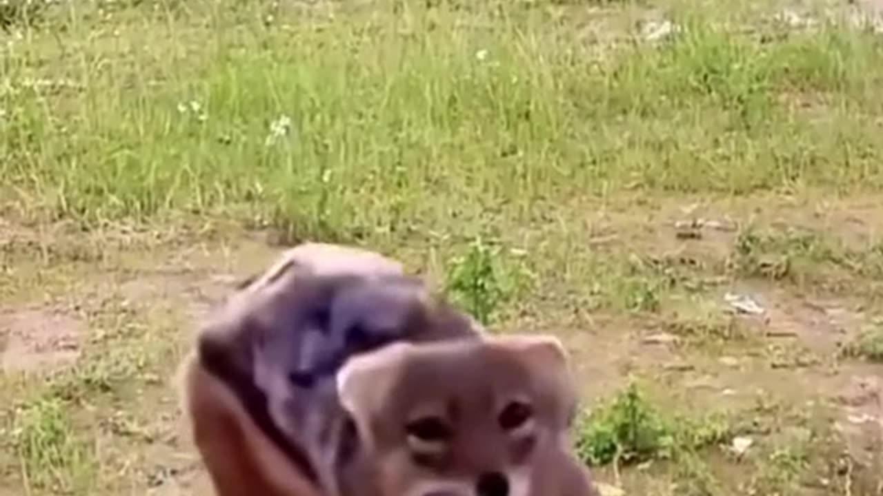 Oops! 😆 ahahah what a moment! 😂
