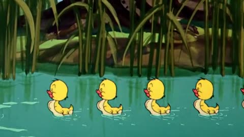 Tom and Jerry video