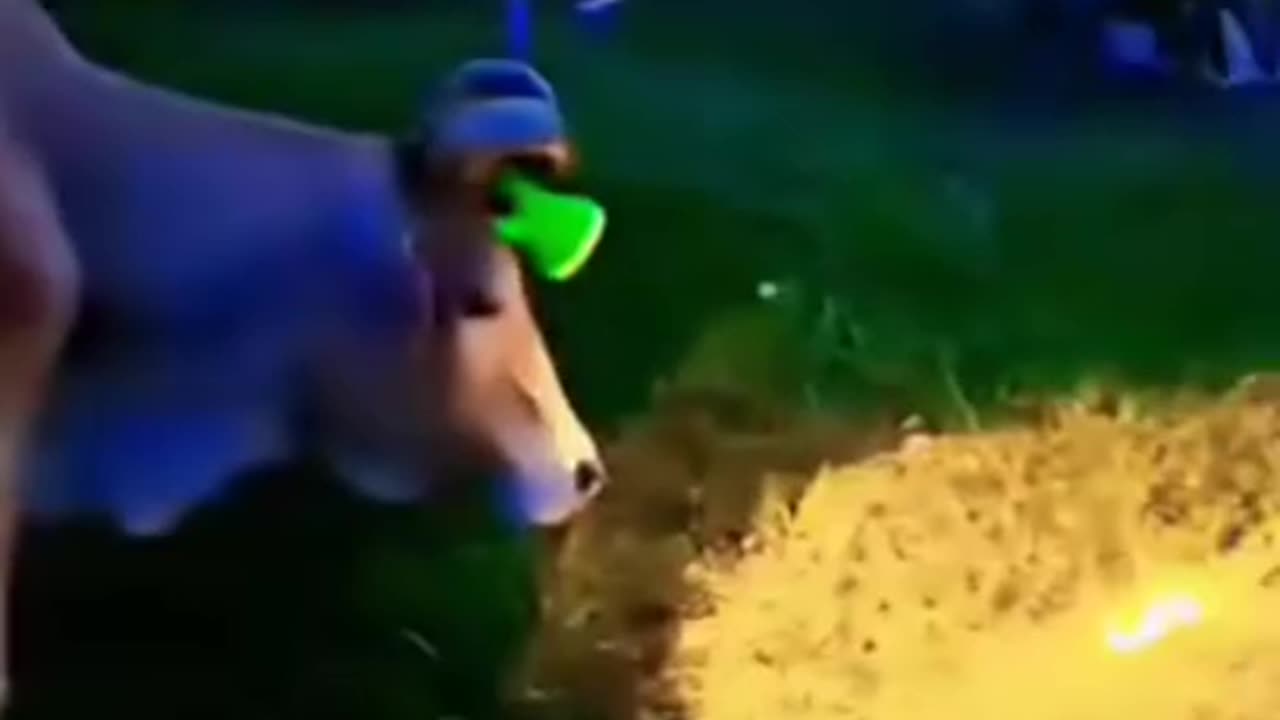 Funny videos of 🐄 cow 🤣