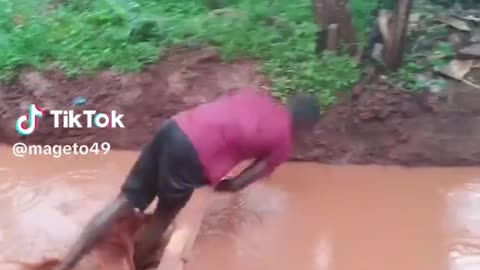Hilarious Short Video That Will Make You Laugh Out Loud 😂 | Must Watch!