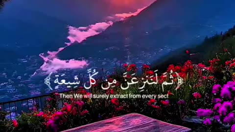 All videos
