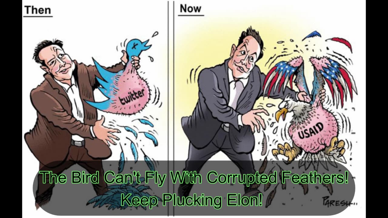 The P.C. Crowd(Political Cartoons)