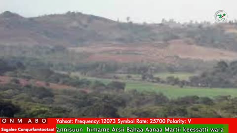 Oduu Waaree ONM-ABO Ebla 8-2025 itti dhiyaadhaa!