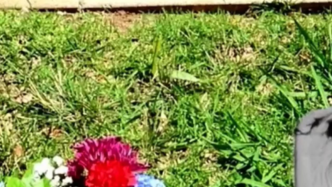 FAMOUS GRAVES - VOL. 543: FRED ASTAIRE