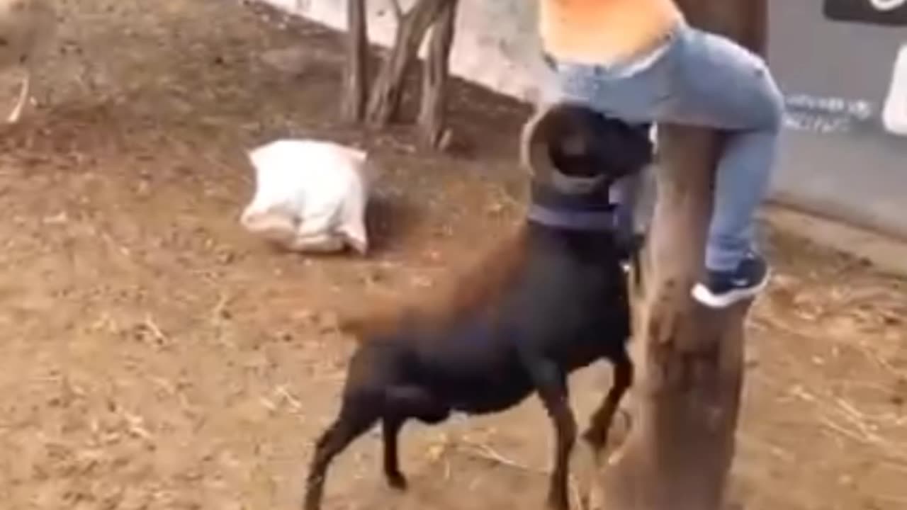 funny