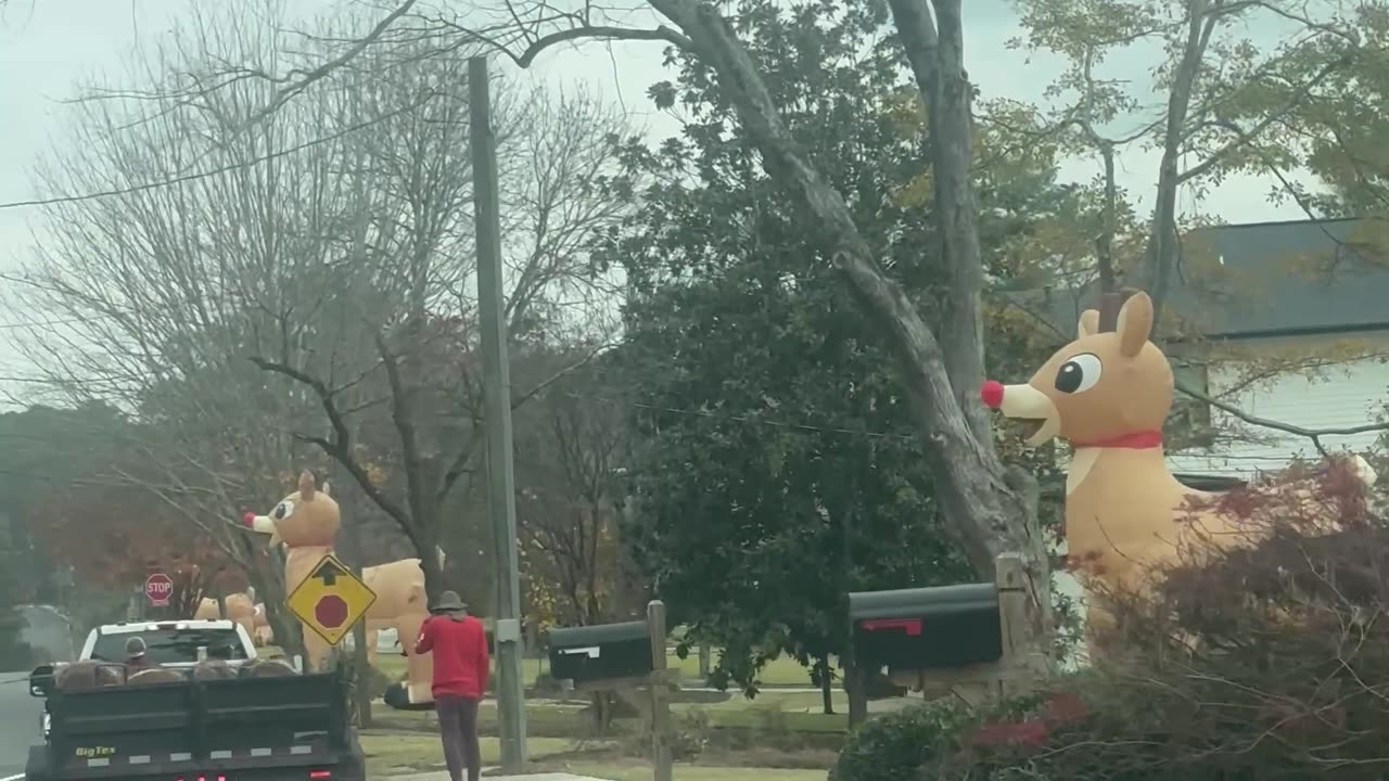 Why Is There a Rudolph in Every Yard?