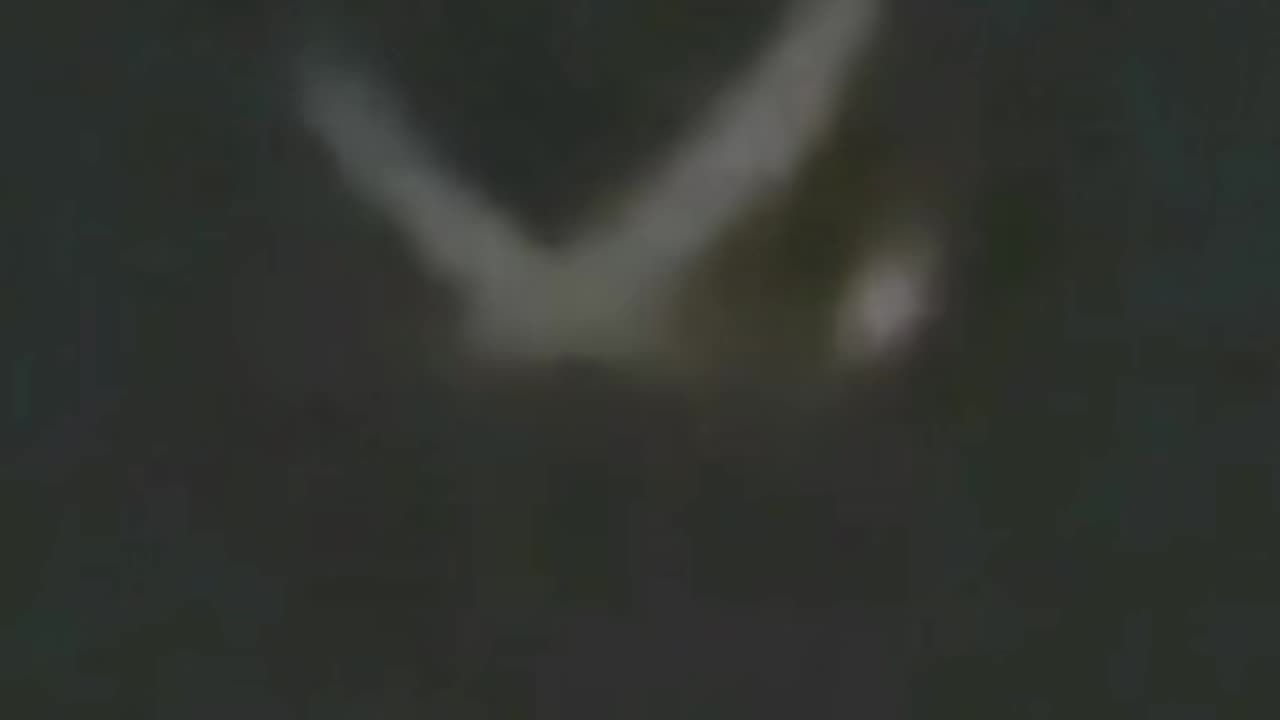 🛸🔭 Another UAP Sighting in New Jersey! Is This Proof of Alien Life? | UAP evidence #TheTruthAbove