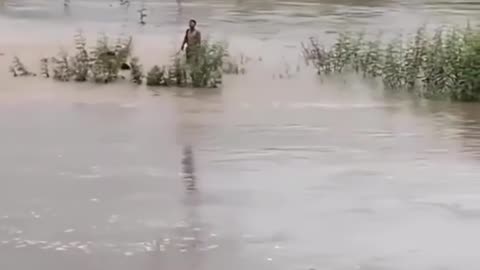 🌾🌳 Farmland Problems? Someone's Got a Solution! | FunFM
