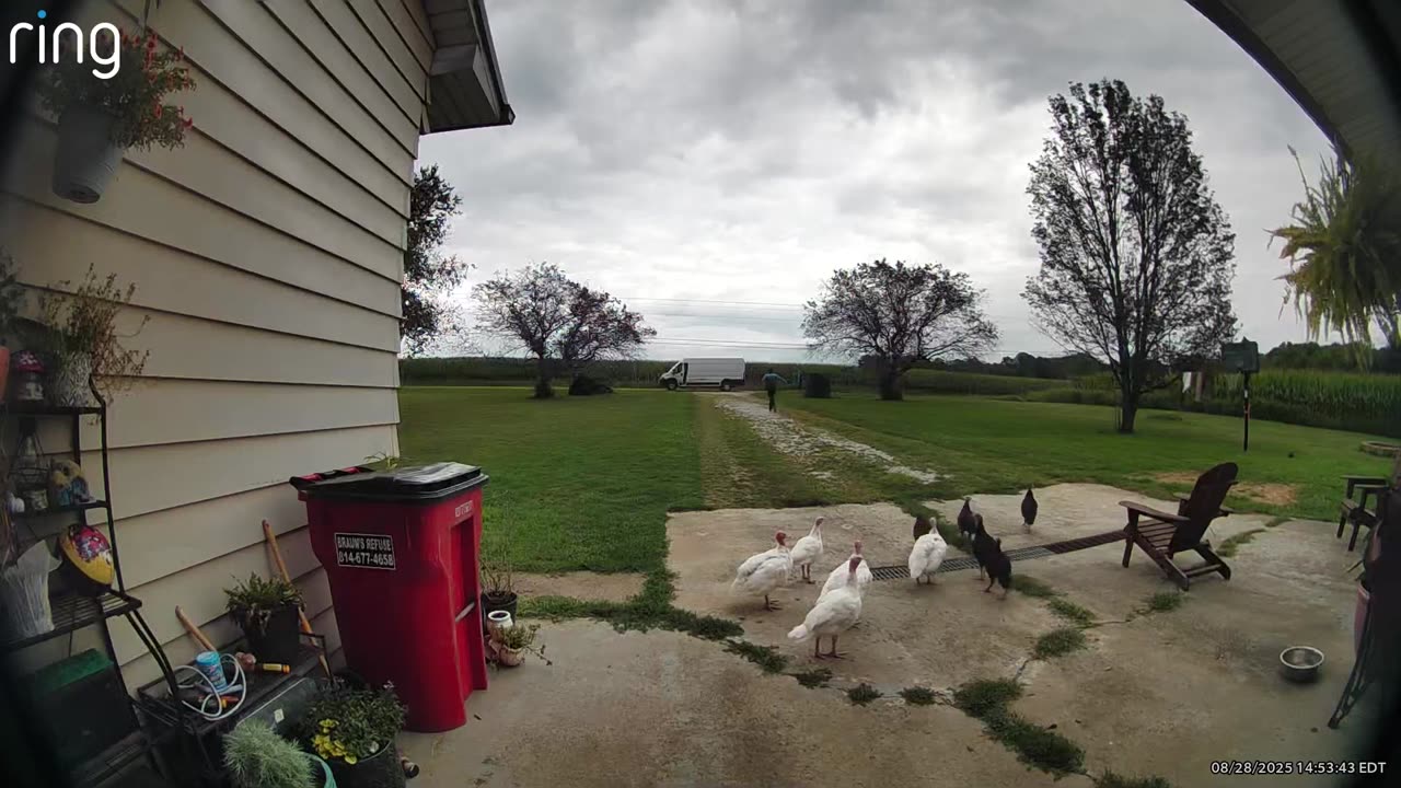 Thanksgiving Gobbles, Giggles, and Gags