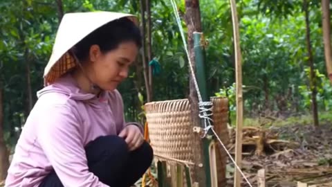 how to make traps for birds and wild animals