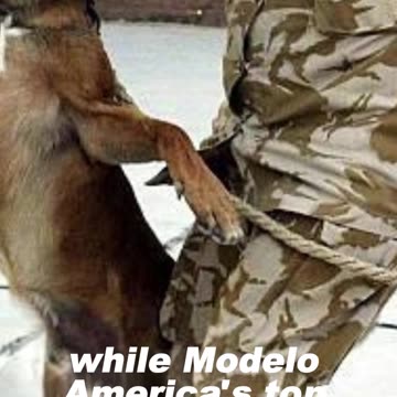 Trump Answers More Press Than Biden | Modelo Beer Reigns | Dave Bowman News - WorldEye