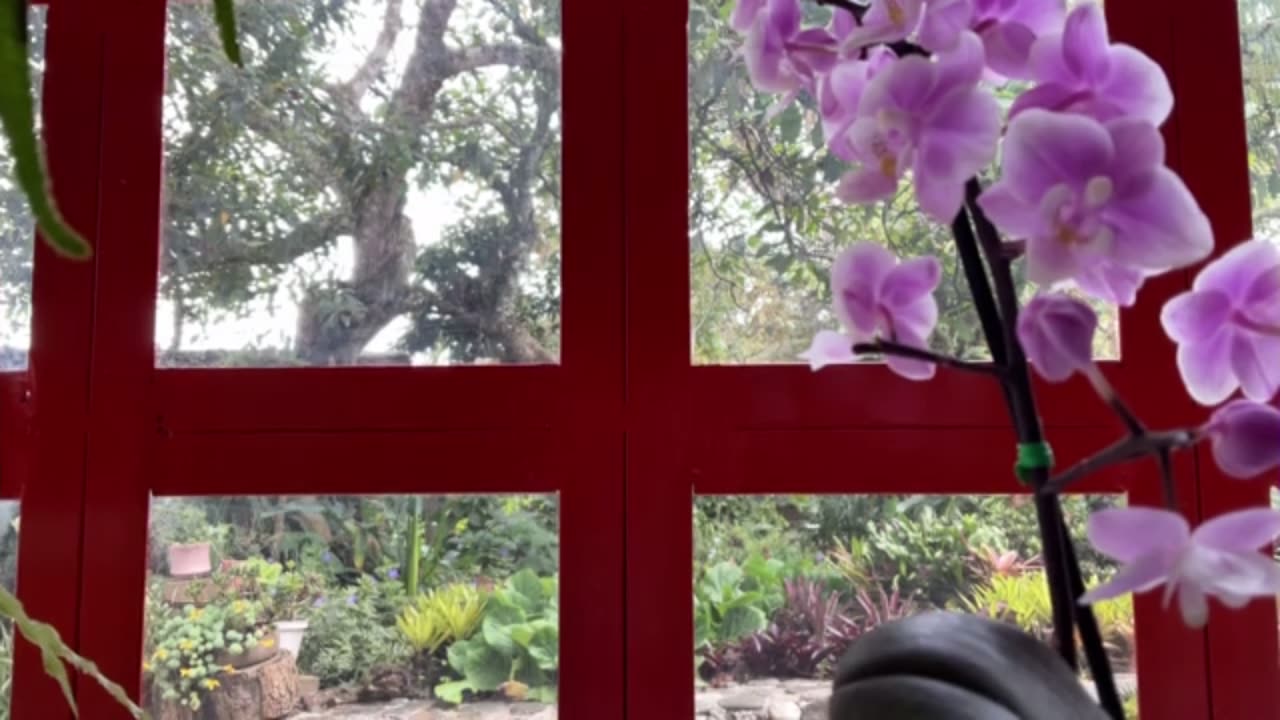 #timing Day 24 [30-Day Dance with 30-Seconds]