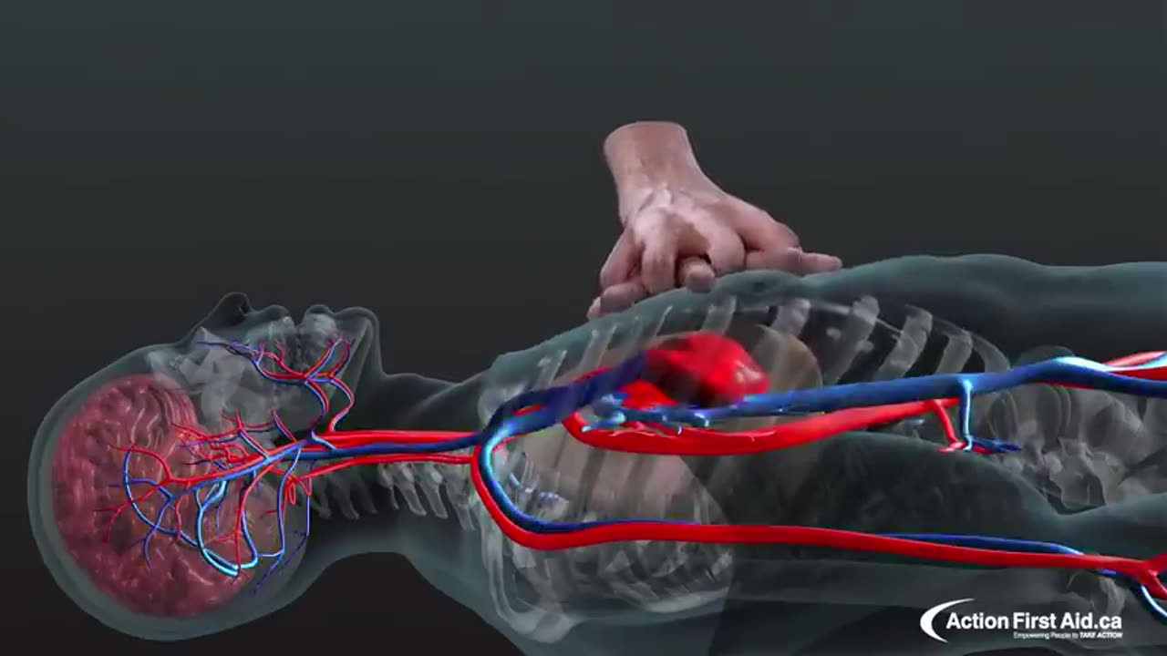 3D CPR Animation β A Life-Saving Skill! π©Ίπ | Hojisphere