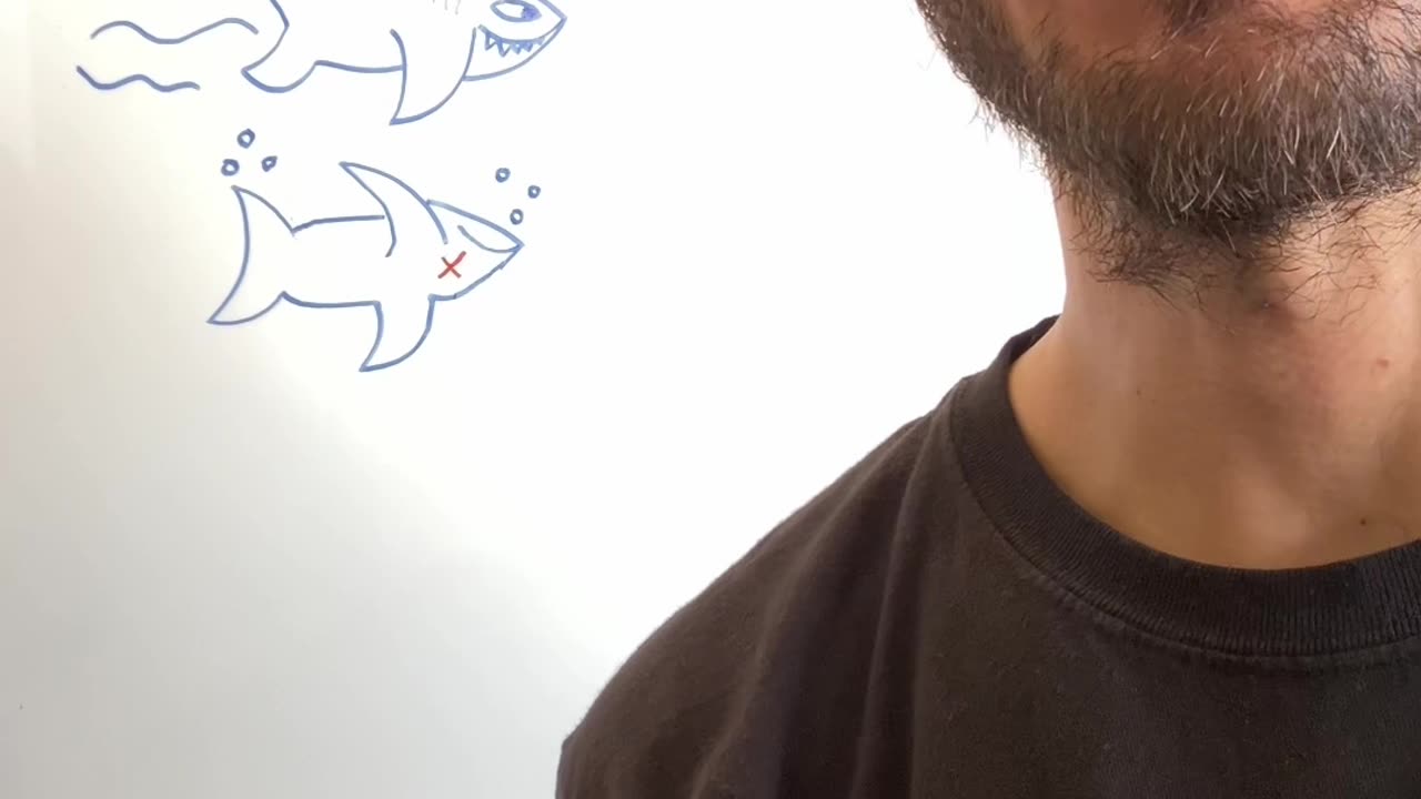 Are you moving?