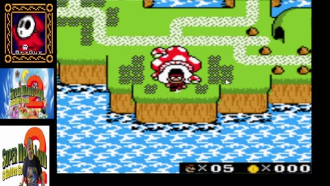Super Mario Land 2 The 6 Golden Coins DX color hack
