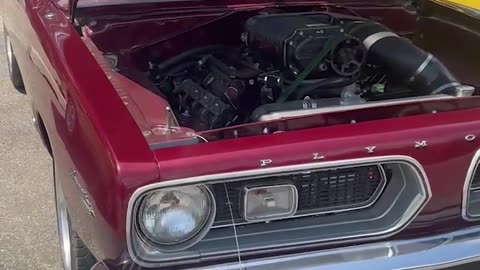 Monday Motor Madness # 134 - One Bad Fish