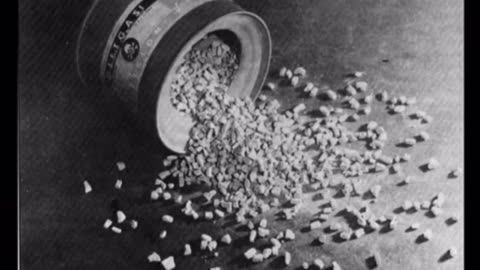 The Holocaust investigation