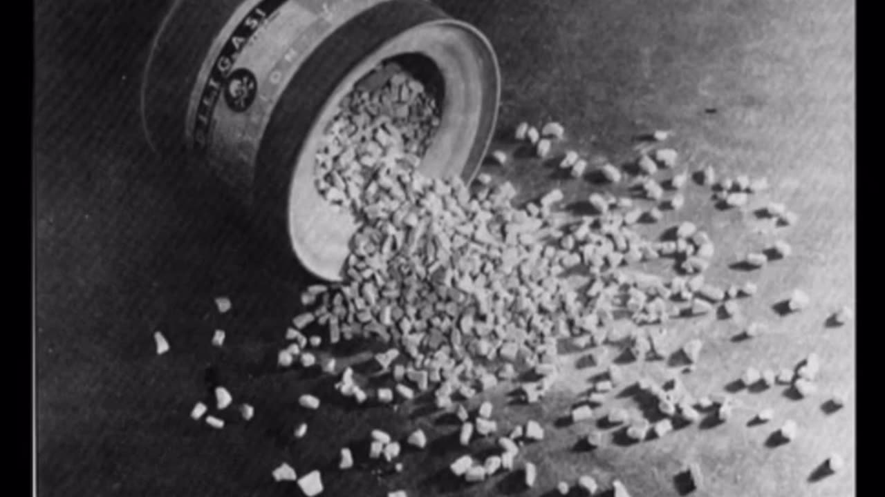 The Holocaust investigation