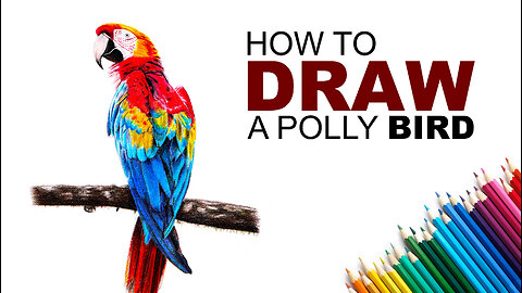 How To Draw a Polly Parrot Bird with Coloured Pencils.