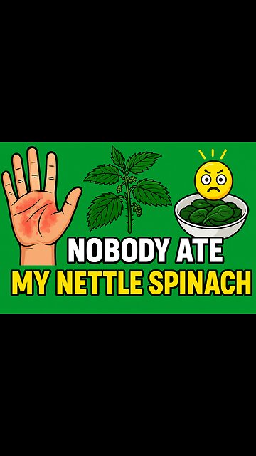 Nobody Ate My Nettle Spinach 😂 #comedyshorts