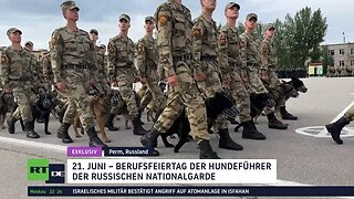 Exklusiv: Diensthunde in der Sonderoperation – Einzigartige Schule der russischen Nationalgarde