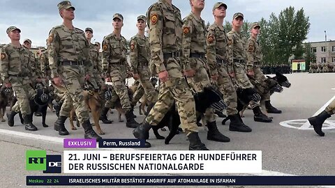 Exklusiv: Diensthunde in der Sonderoperation – Einzigartige Schule der russischen Nationalgarde
