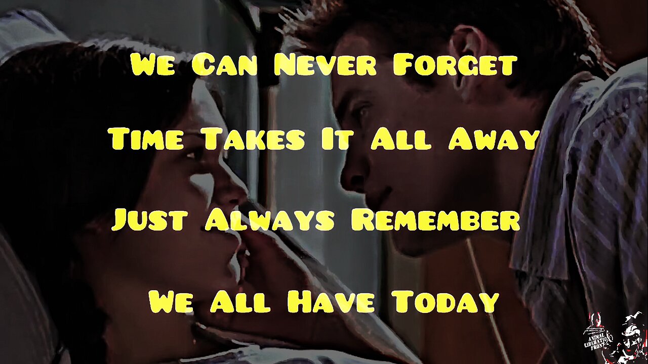 A Walk 2 Remember Forever