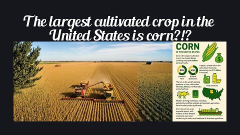 Fun Fact for June 11th 2025 Pt 1