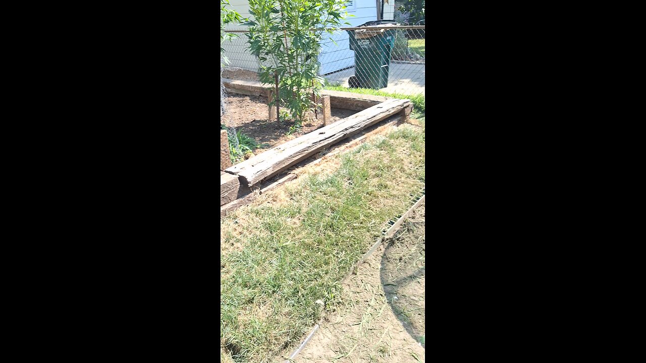 Electroculture Gardening 3