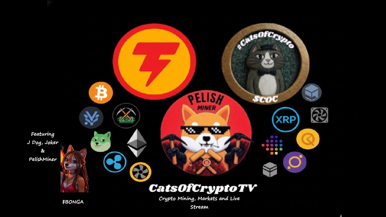 CatsOfCryptoTV Crypto Mining, Markets and Livestream Episode #1