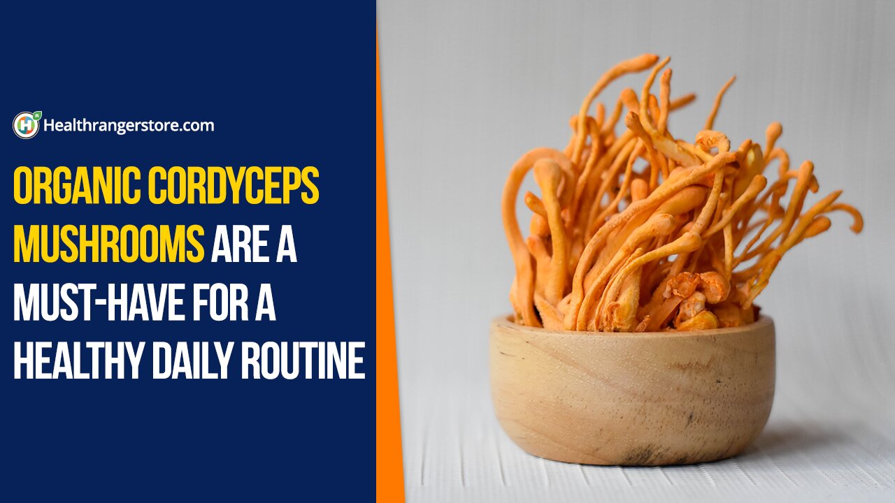 Organic Cordyceps Mushrooms are a must-have for a healthy daily routine