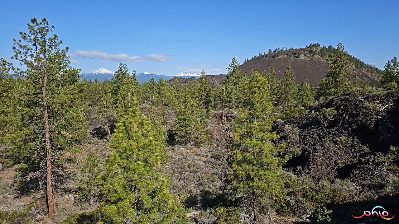 Lava PhLo 1