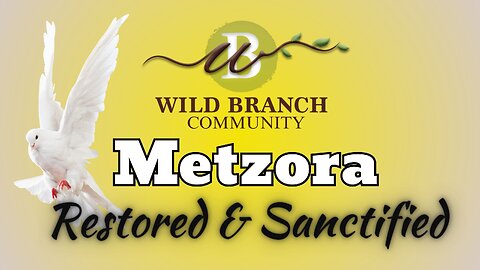 Metzora - Restored and Sanctified