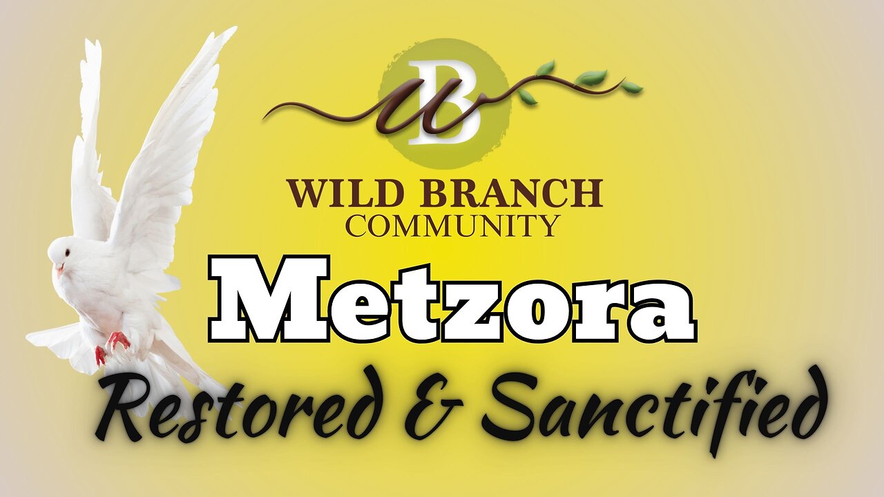 Metzora - Restored and Sanctified