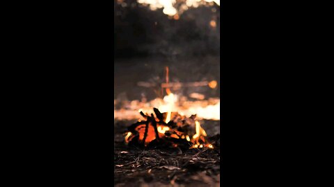 Daily Verse November 21st 2025