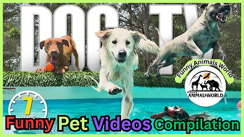 Cute And Funny Pet Videos Compilation ♥ Baby Dog Videos Part 4