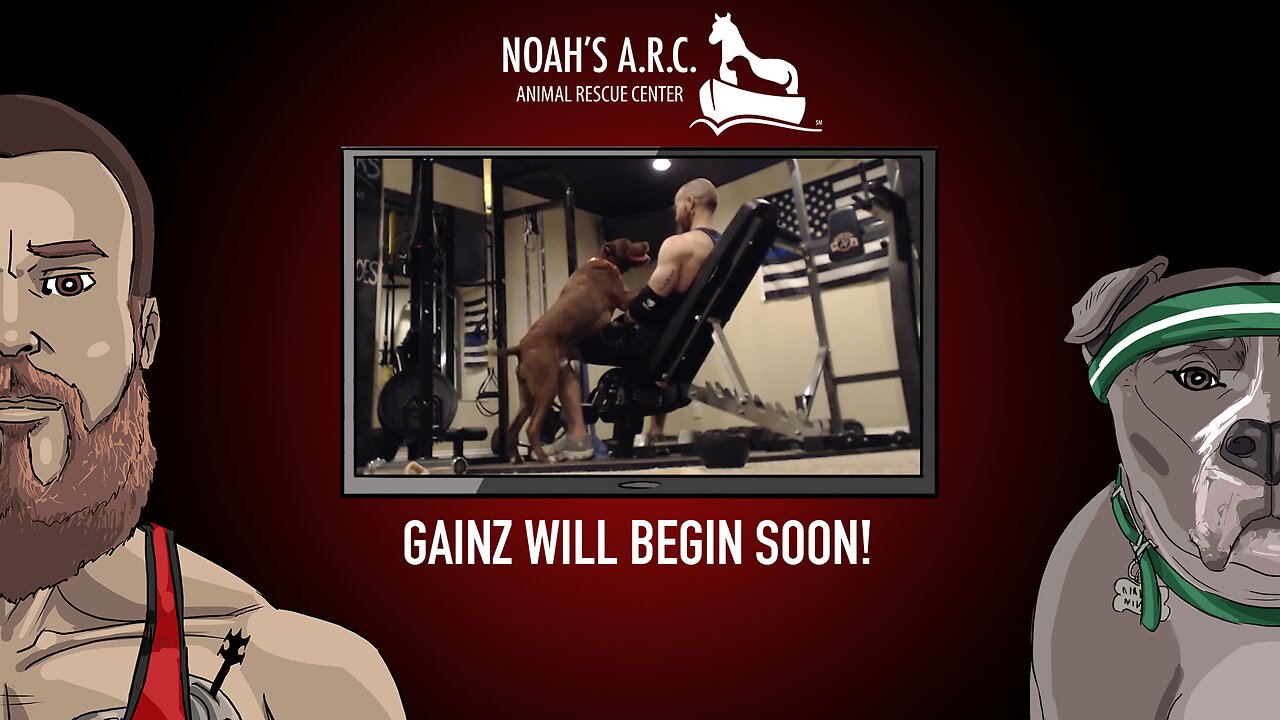 LBL Session w/Finley Pup [Week 27] - Boulder Shoulders // Animal Rescue Stream :)
