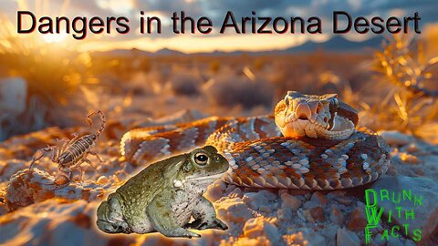 Dangers of the Arizona Desert