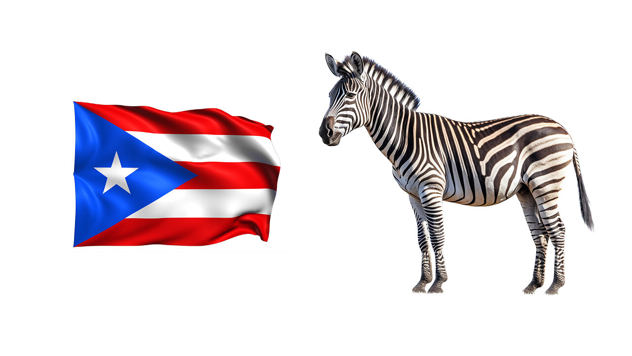 Puerto Rican Sanj & Janet Reno (from the side) TAKE OVER!!