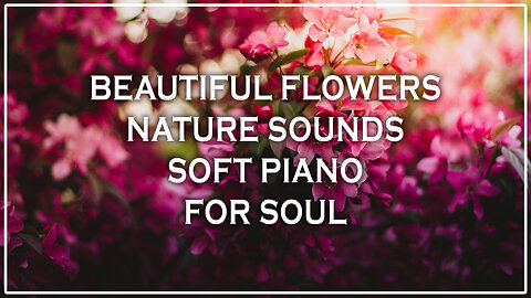 Soulful Piano Melodies for Deep Peace 🌙 | Relaxing Soft Music for Mind & Soul 🌿🎹✨