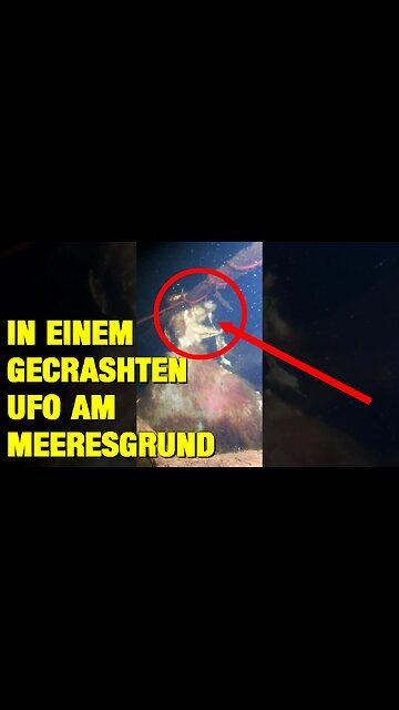 Schockierender Fund – Taucher findet leblose Reptilians am Grund des Meeres