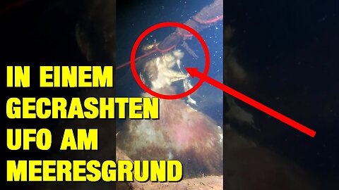 Schockierender Fund – Taucher findet leblose Reptilians am Grund des Meeres