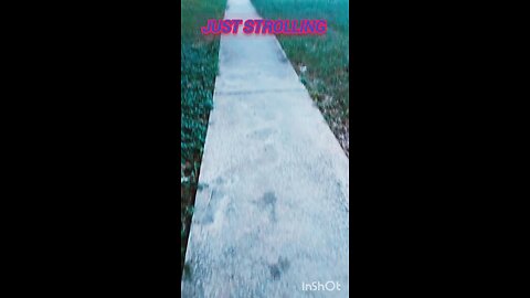 EVENING WALK