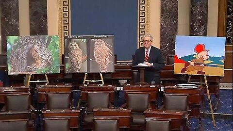 US Department of Interior created a DEI program for owls – Sen. John Kennedy