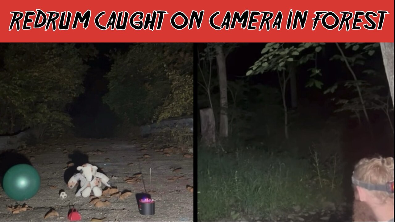 TERRIFYING VIDEOS FOREST EDITION