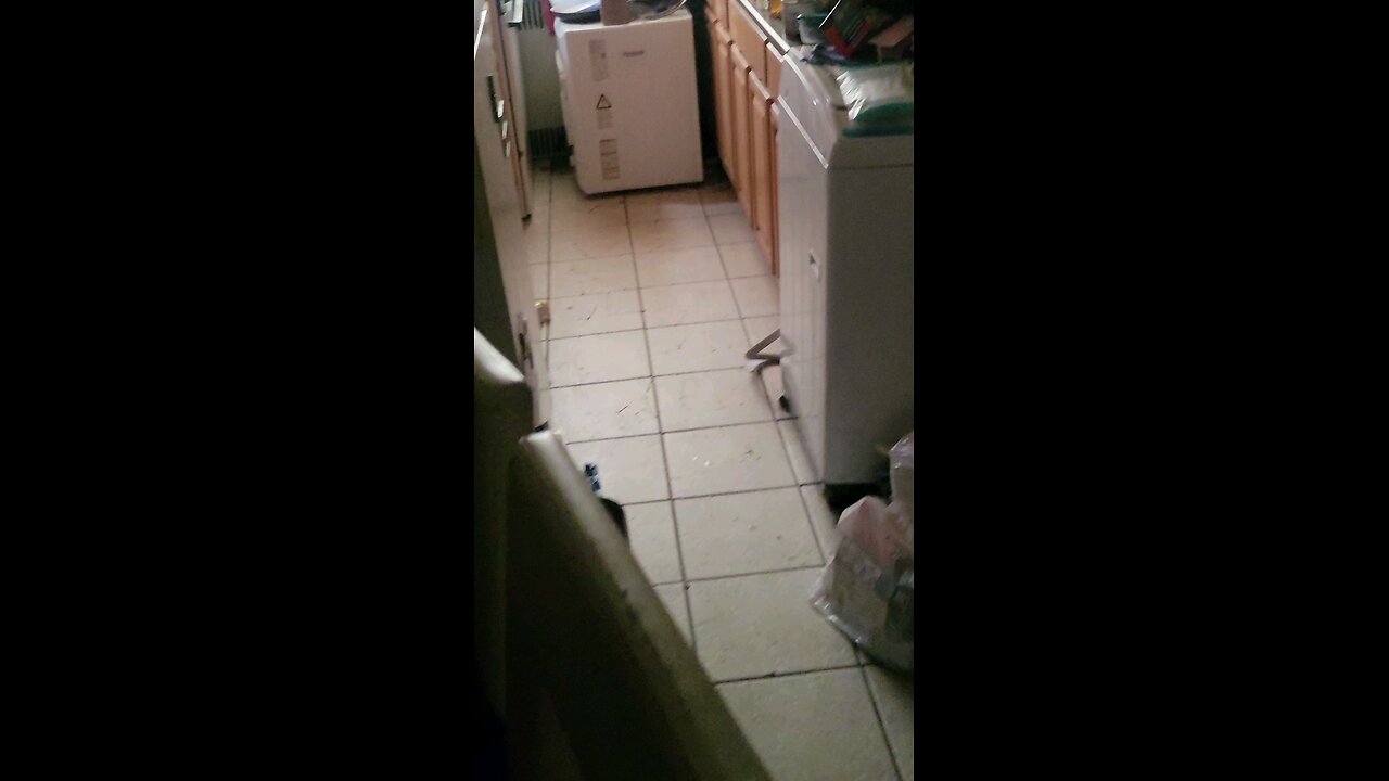 NY Fecal Dept engaging in noise attacks and illegal surveillance