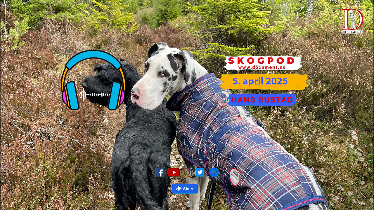 Skogpod 5. april 2025