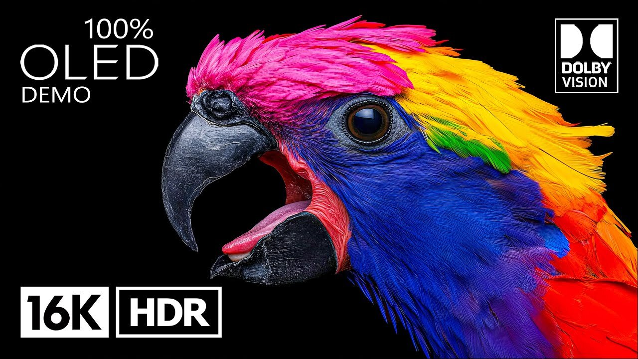 Most Beautiful HDR OLED Demo for 4K/8K Video Test | 16K HDR 120 FPS | Dolby Vision